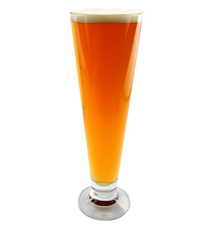 pilsner-glass