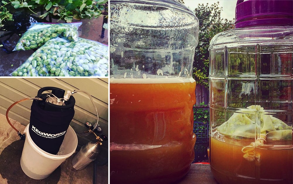 Homebrew 101 Making Hard Cider