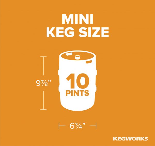 Guide to Beer Keg Sizes and Dimensions