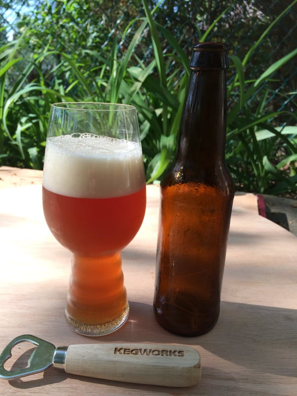 The finished Genesis IPA in a Spiegelau IPA glass