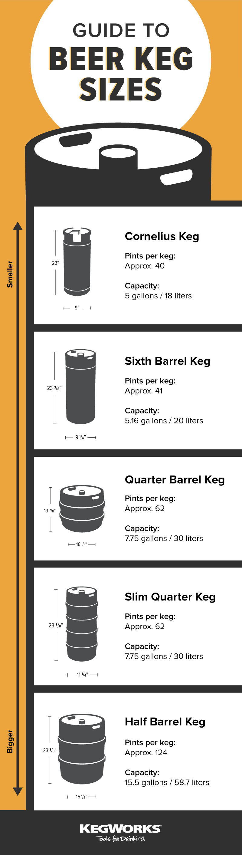 how-many-beers-in-a-keg-guide-to-keg-sizes-and-dimensions