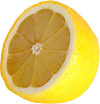 Lemon Slice